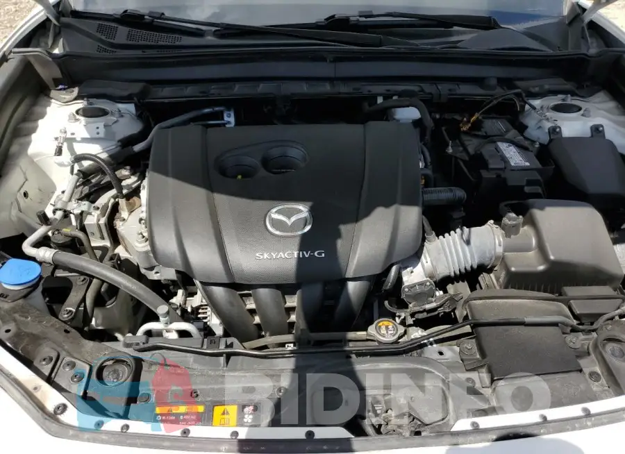 3MVDMBCL6MM211647 Photo# 11