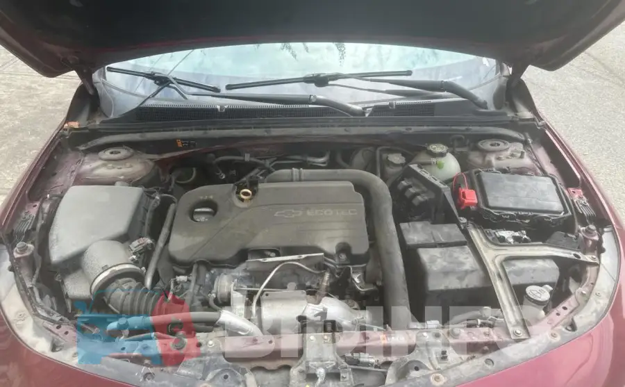 1G1ZB5ST8GF261477 Photo# 7