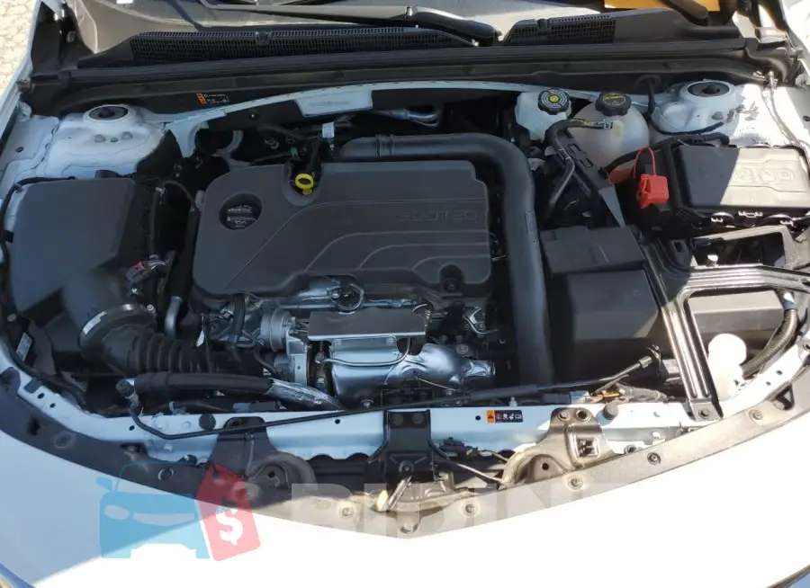 1G1ZD5ST9RF201527 Photo# 11