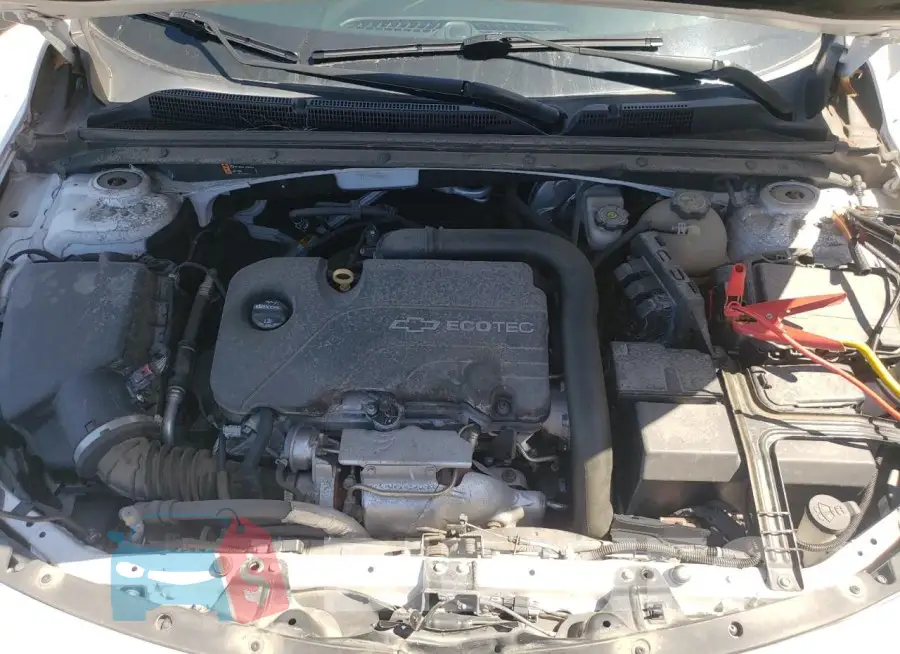 1G1ZE5ST3HF170156 Photo# 11