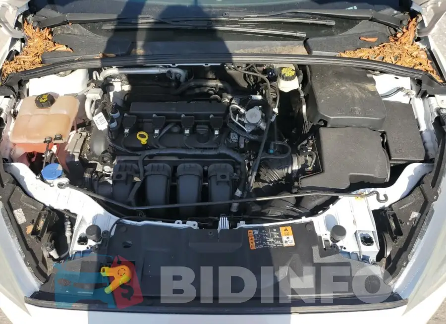 1FADP3F21HL208508 Photo# 11