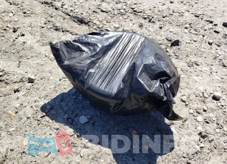 JN1EV7EK4KM230407 Photo# 12
