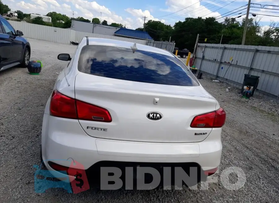 KNAFX6A84F5342976 Photo# 6