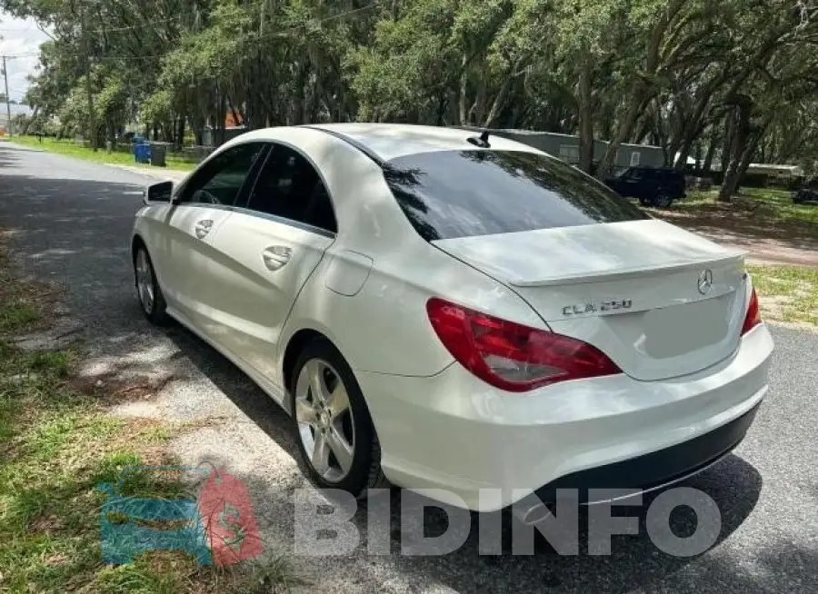 WDDSJ4EB6HN460842 Photo# 3