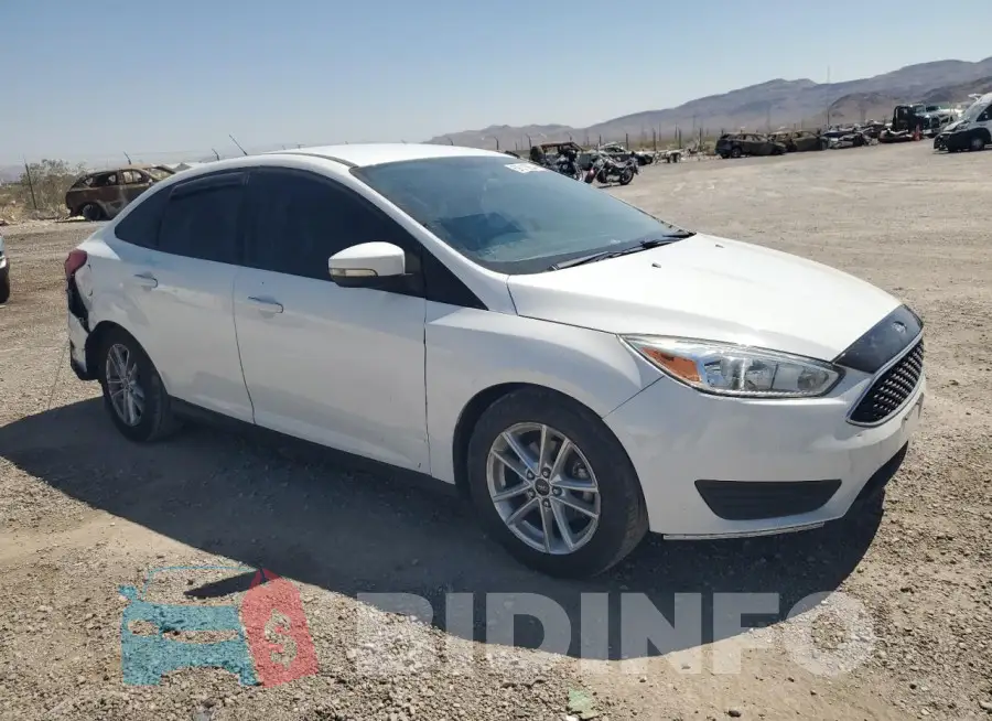 1FADP3F24GL269088 Photo# 4