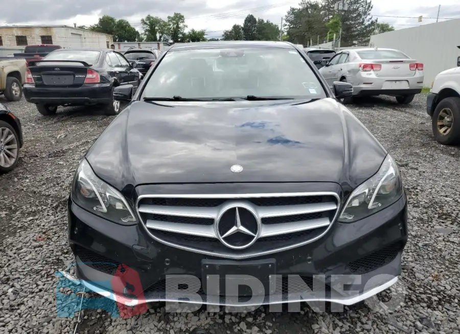 WDDHF8JB7GB224029 Photo# 5