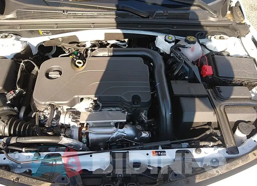 1G1ZC5ST3PF157699 Photo# 11