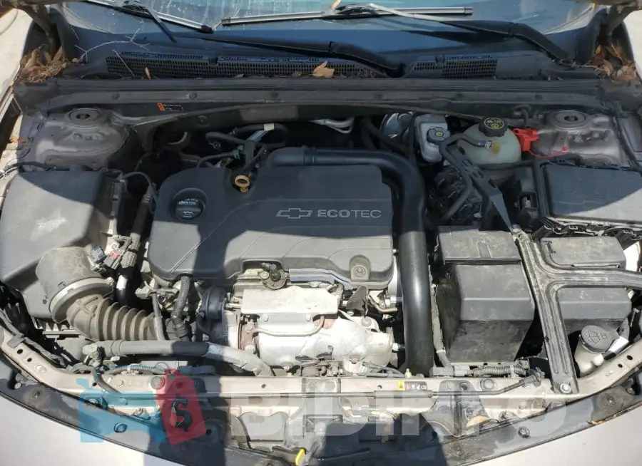1G1ZD5ST7JF161114 Photo# 11