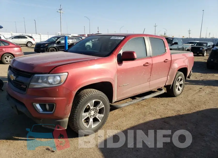 1GCGTCE39F1243593 Photo# 1
