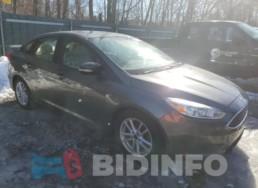 1FADP3F28GL248096 Photo# 4