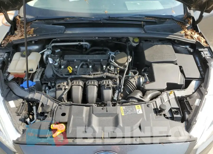 1FADP3F28GL249894 Photo# 11