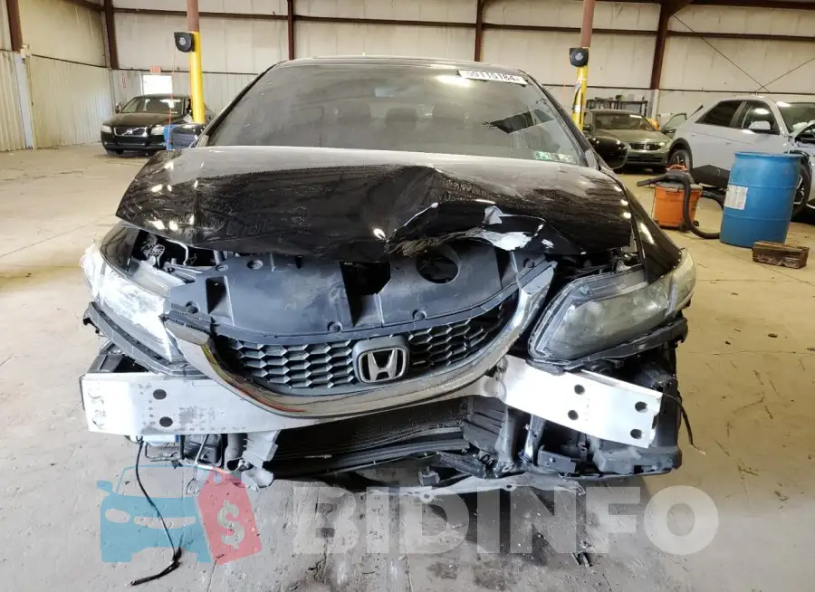 19XFB2F80FE289975 Photo# 5