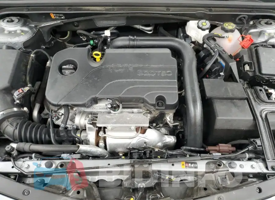 1G1ZD5ST3PF235136 Photo# 11