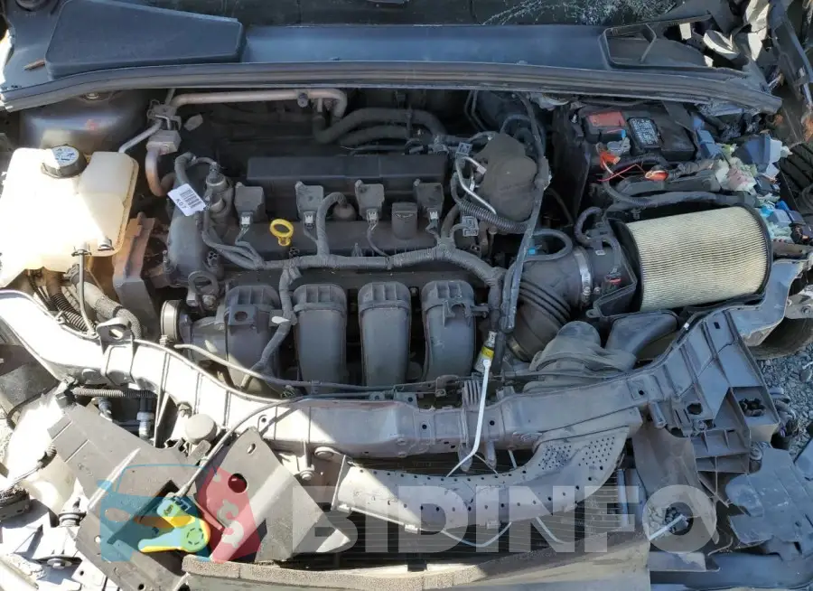 1FADP3E26GL247319 Photo# 11