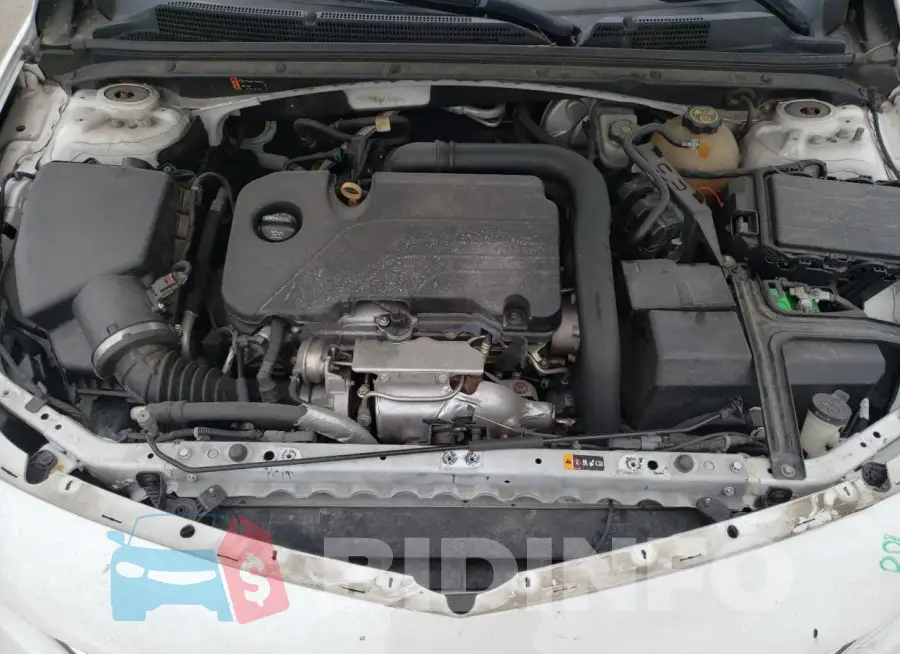 1G1ZD5ST3JF228954 Photo# 11