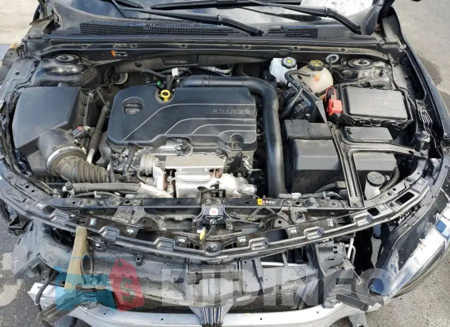 1G1ZD5ST8PF176021 Photo# 11