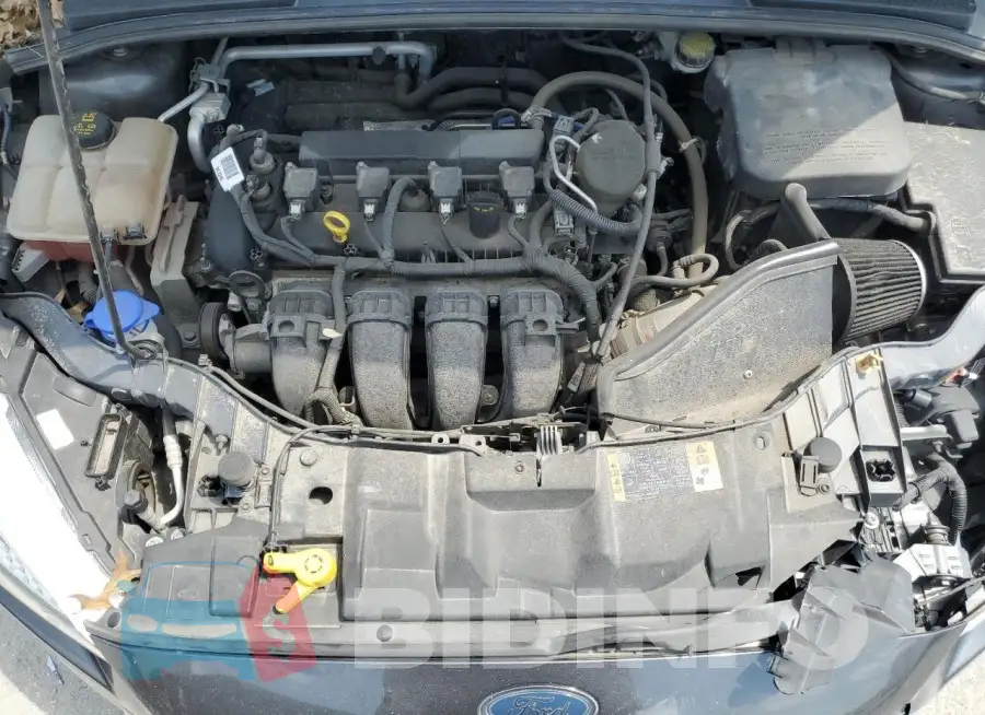 1FADP3F24GL202295 Photo# 11