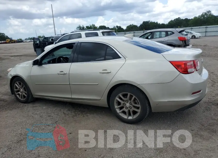 1G11C5SL2FF299098 Photo# 2