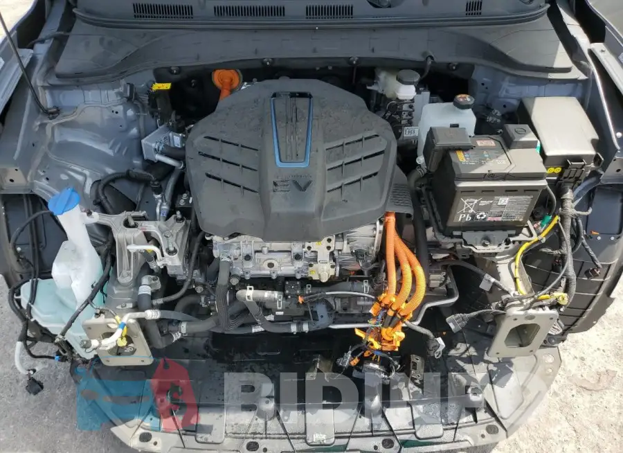 KM8K23AG9PU183655 Photo# 12