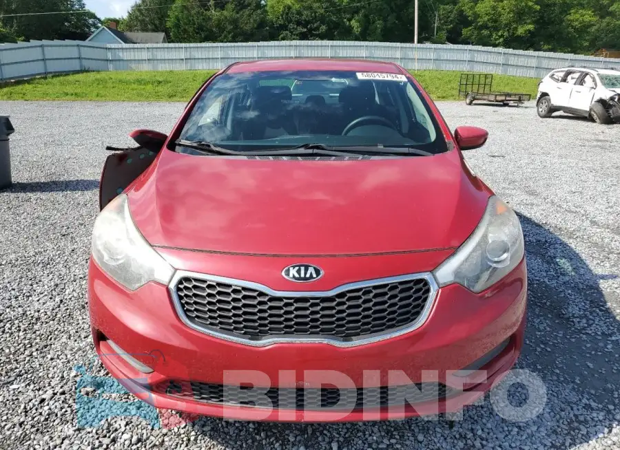 KNAFK4A64G5487695 Photo# 5