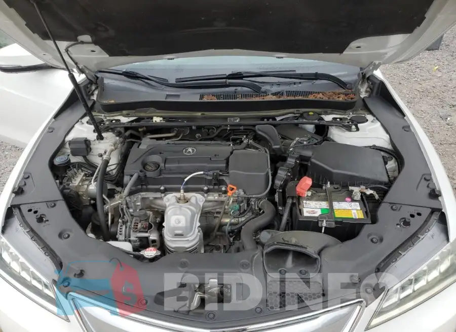 19UUB1F31FA014741 Photo# 11