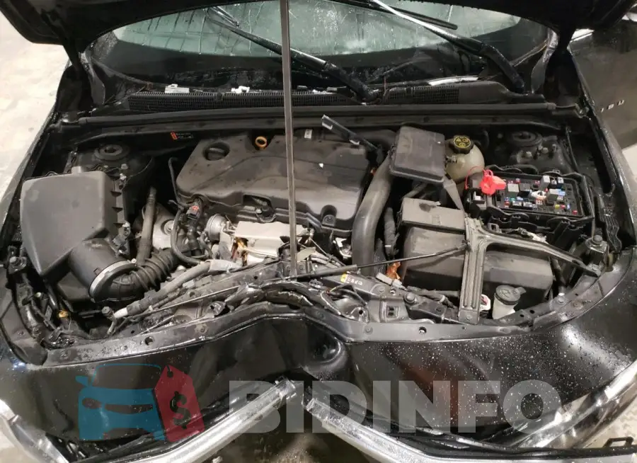 1G1ZD5ST2LF095980 Photo# 11