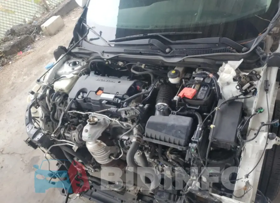 2HGFC2F81GH511816 Photo# 11