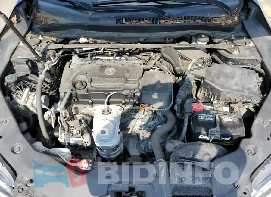 19UUB1F39FA003003 Photo# 11