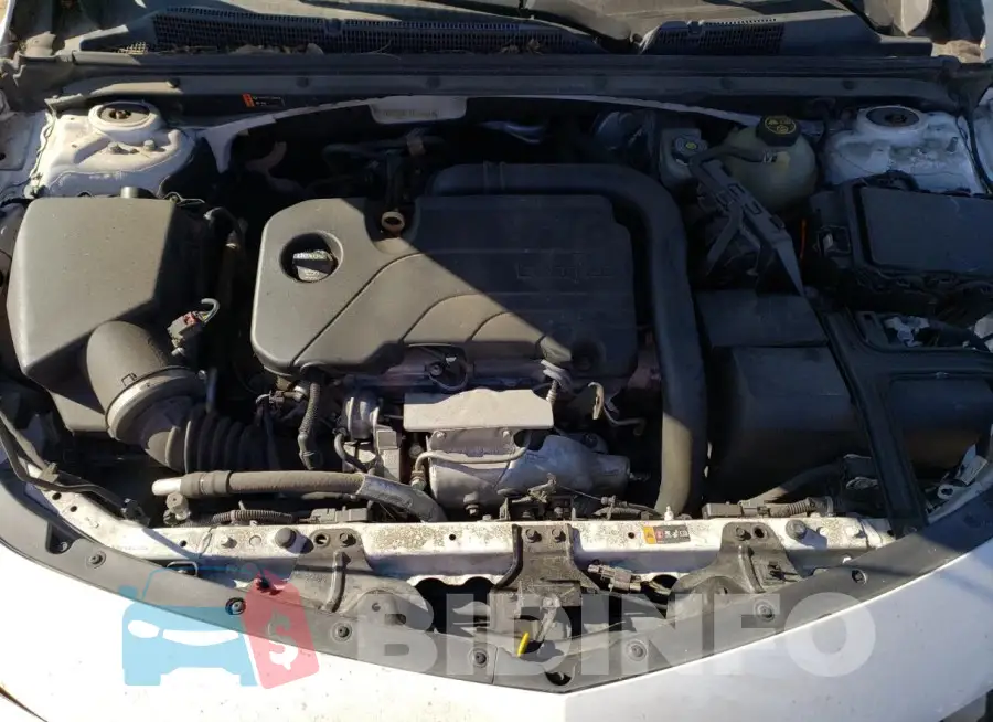 1G1ZD5ST4JF246511 Photo# 11