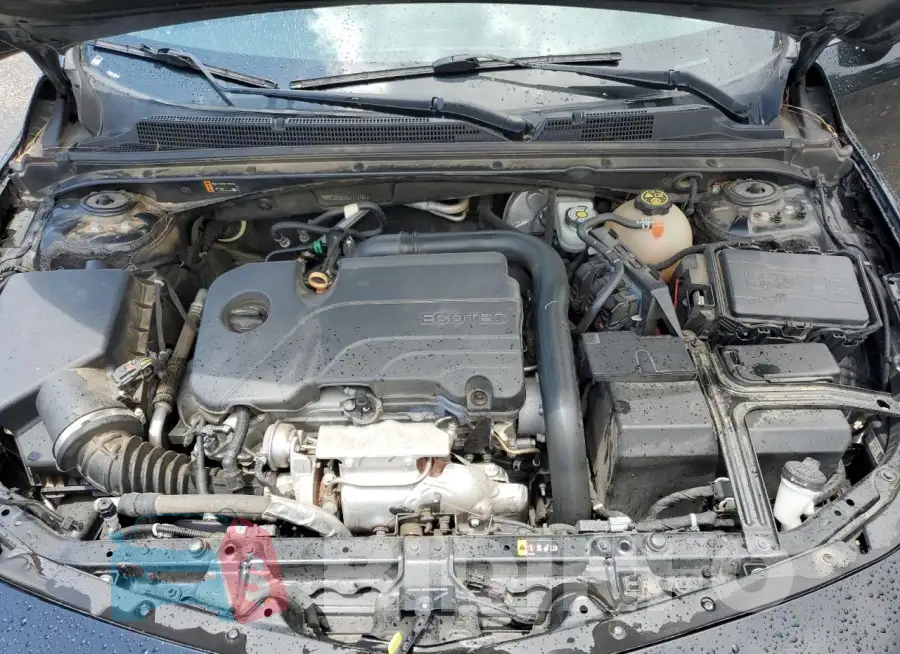 1G1ZD5ST5LF111461 Photo# 11