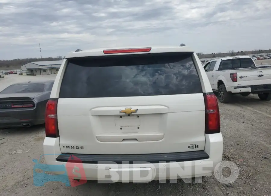 1GNSKBKC4FR156785 Photo# 6