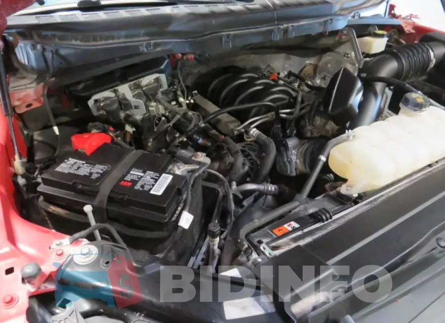 1FTFW1E55MKE81411 Photo# 7