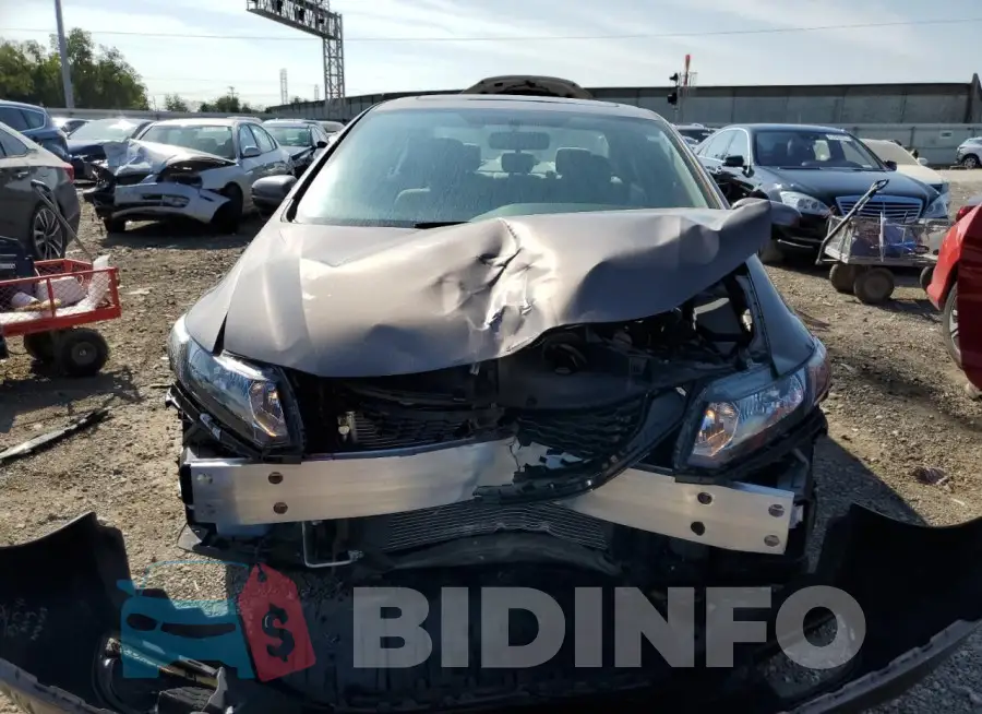 19XFB2F81FE102663 Photo# 5
