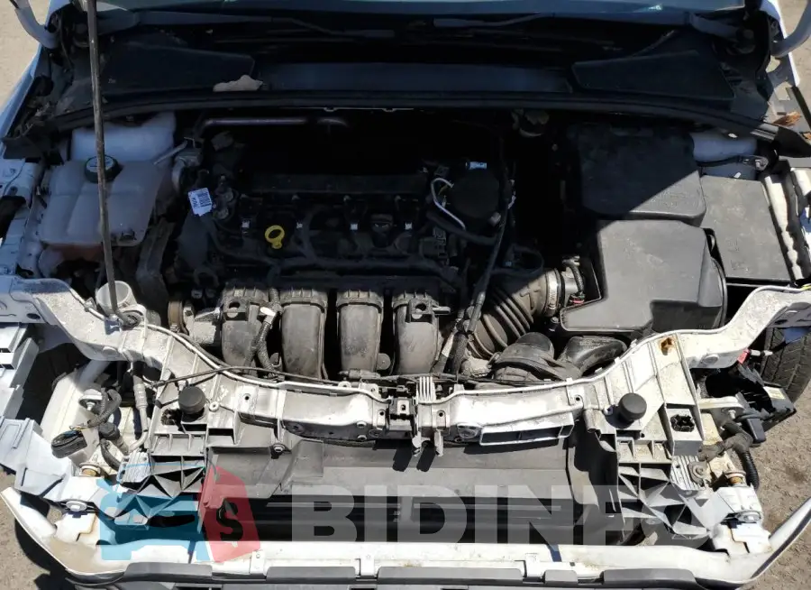 1FADP3F26FL213426 Photo# 11