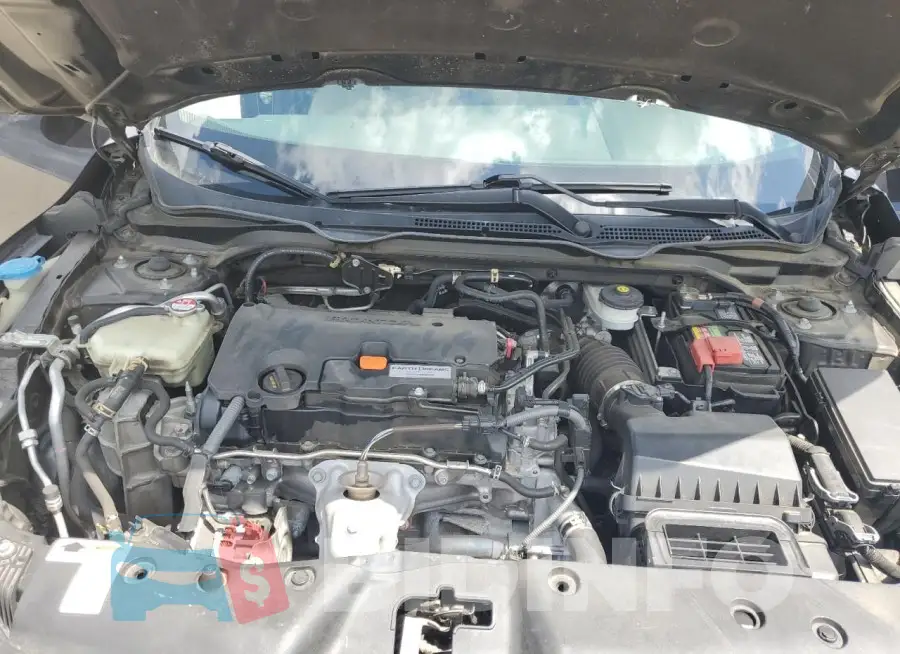 19XFC2F50GE018306 Photo# 11