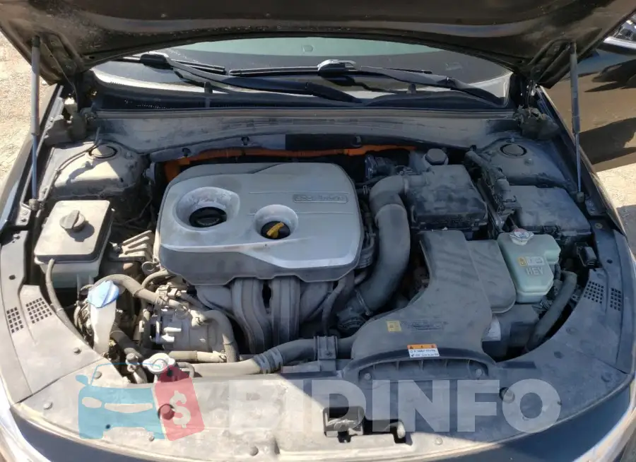 KNAGT4LE2J5021955 Photo# 11