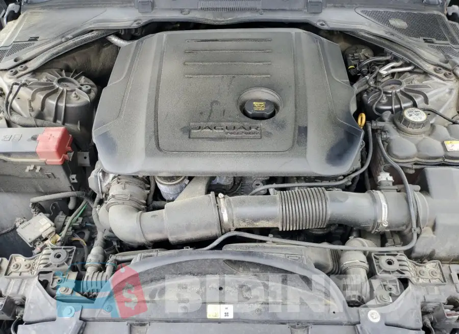 SAJAK4BN3HA951184 Photo# 11