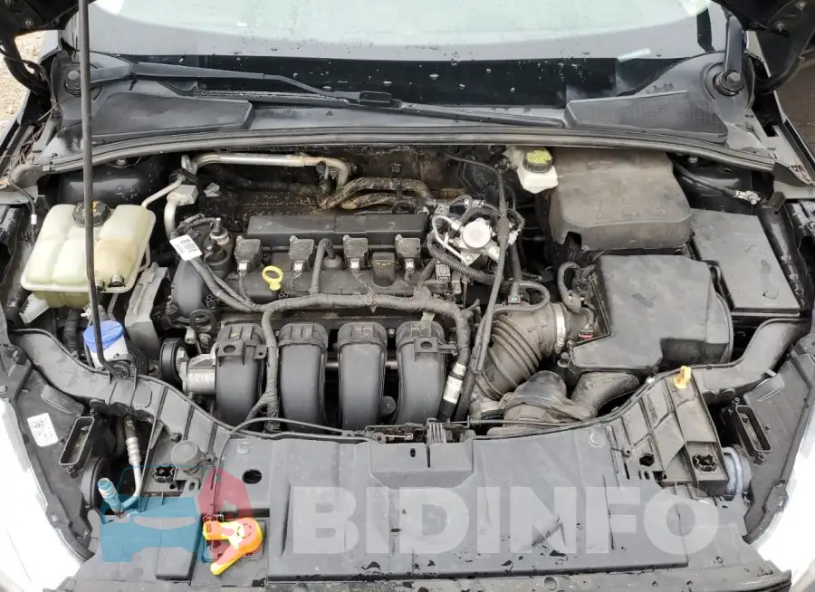 1FADP3F2XHL207972 Photo# 11