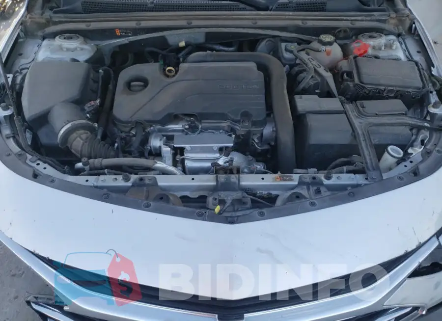 1G1ZD5ST5LF003499 Photo# 11