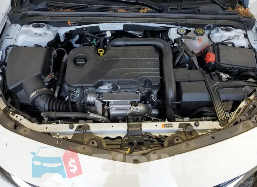 1G1ZD5ST8PF205615 Photo# 11