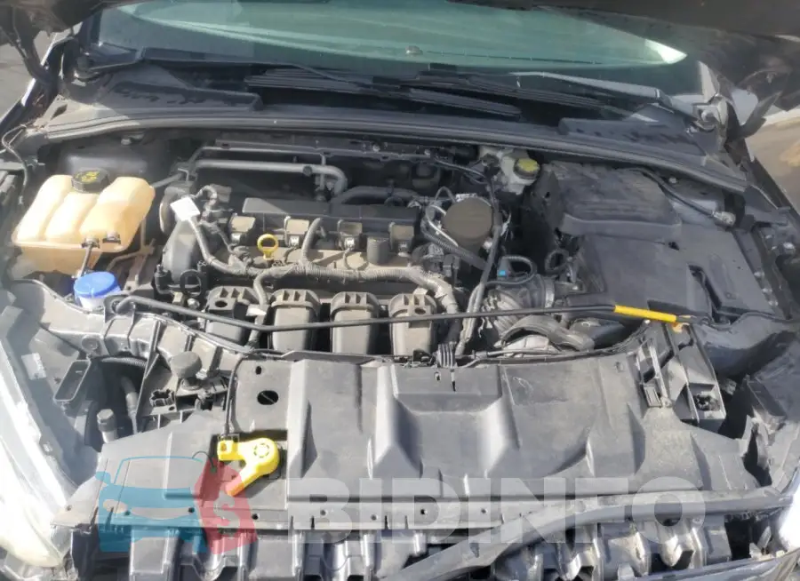 1FADP3F28GL261141 Photo# 11