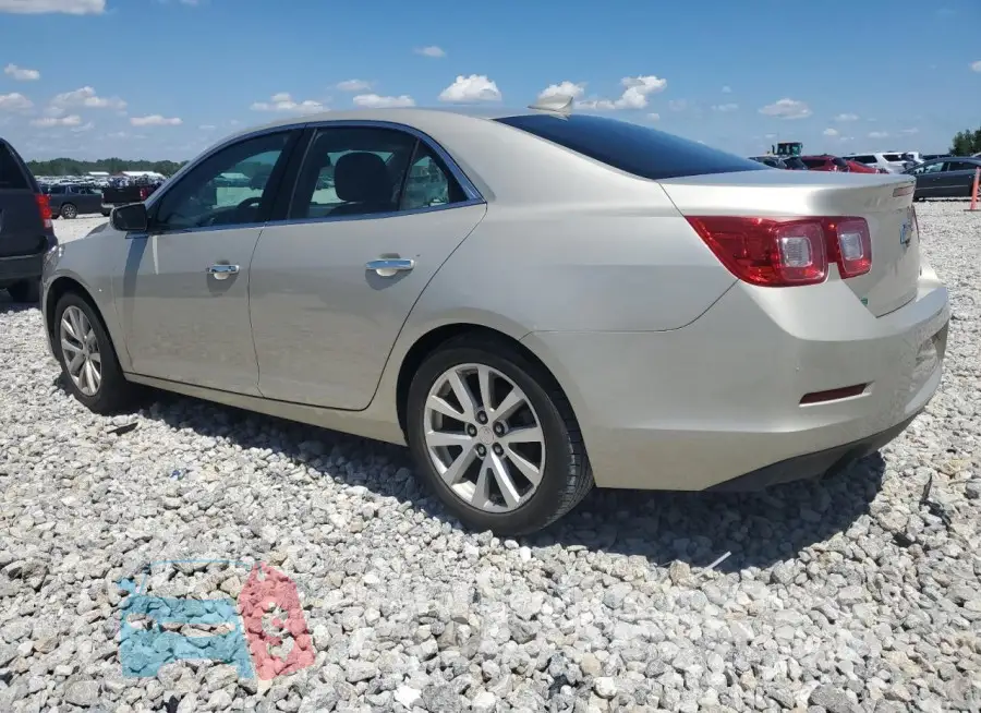1G11F5SLXFF129580 Photo# 2