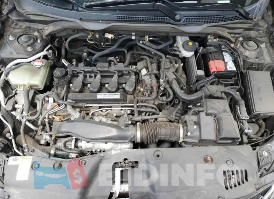 19XFC1F9XGE024112 Photo# 11