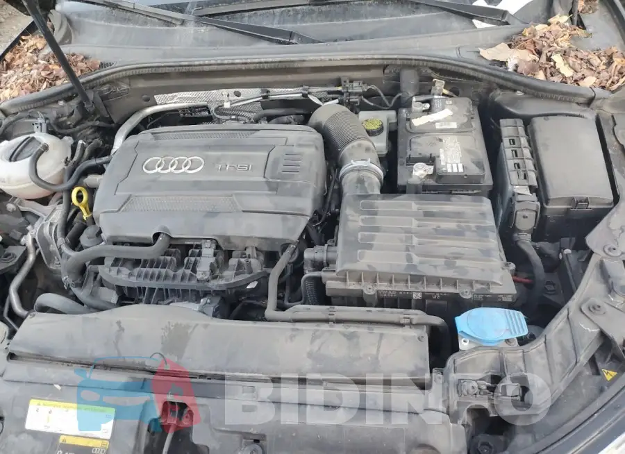 WAUA7GFF5G1111584 Photo# 12