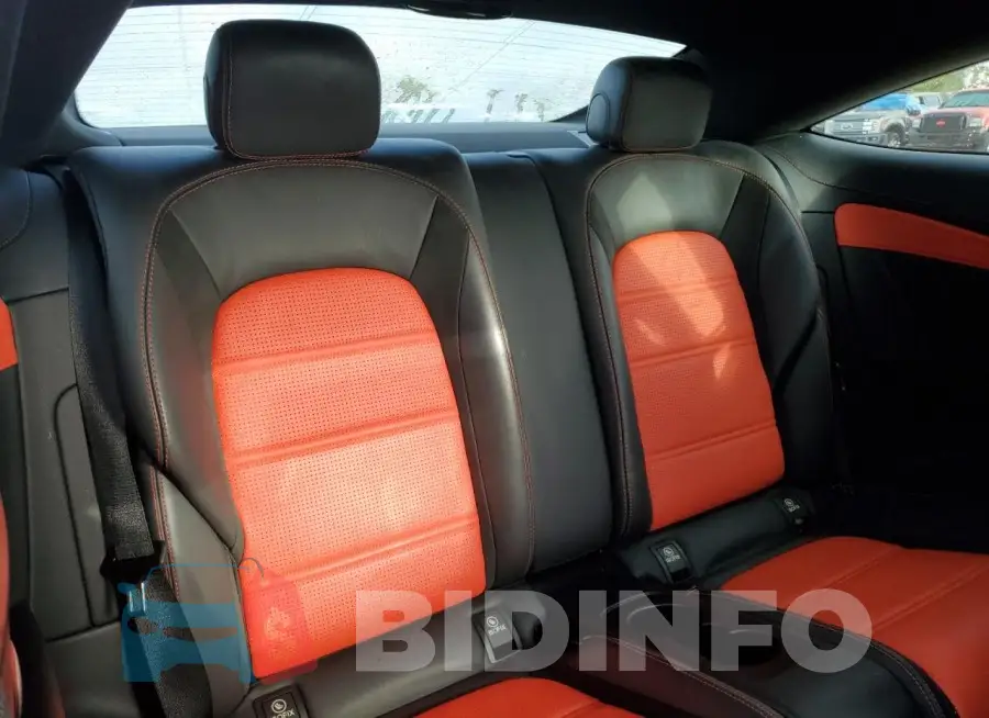 WDDWJ8HB6HF550331 Photo# 10