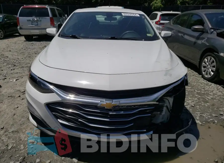 1G1ZD5ST8MF030486 Photo# 5