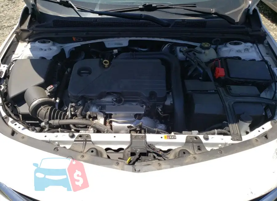 1G1ZD5ST8MF030486 Photo# 11