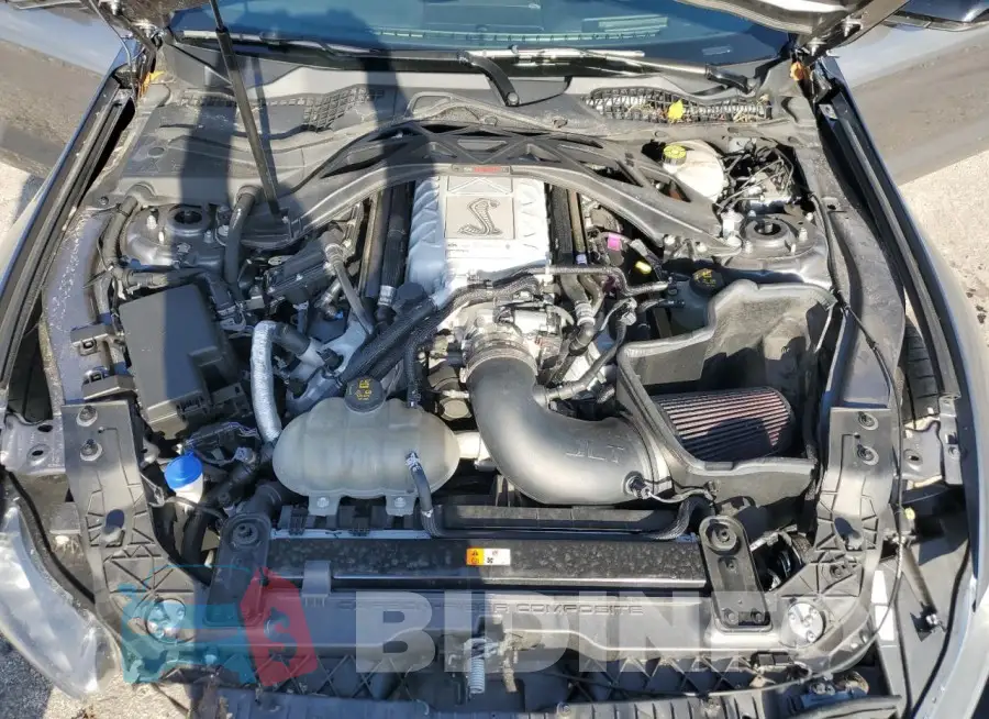 1FA6P8SJ0M5502435 Photo# 11