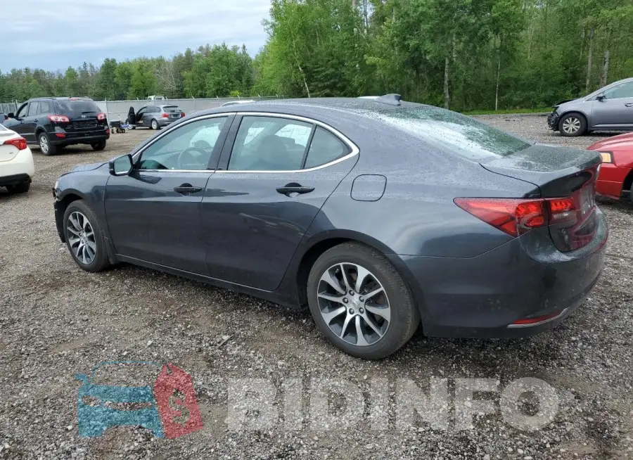 19UUB1F5XFA802242 Photo# 2