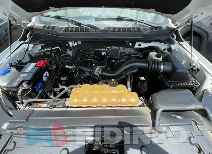 1FTMF1C8XGKD83127 Photo# 7